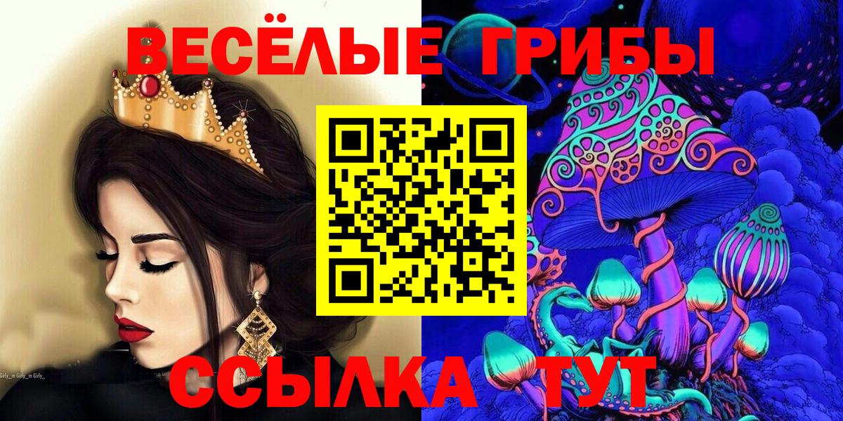 Галлюциногенные грибы Psilocybine cubensis Канск