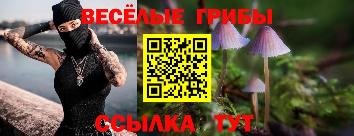 Канск  Псилоцибиновые грибы Psilocybine cubensis  Вход с VPN 
